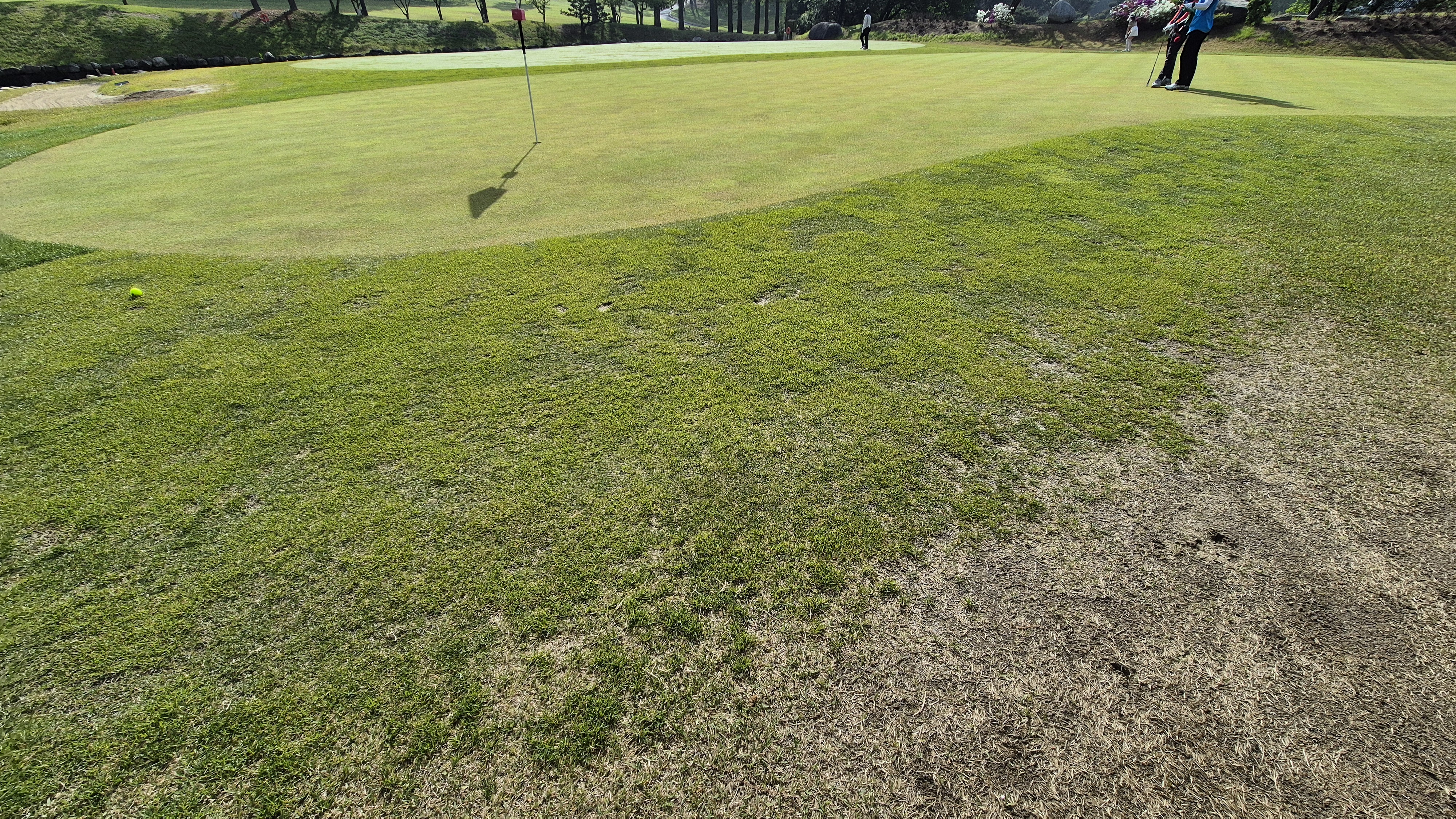 한원cc 라운드후기