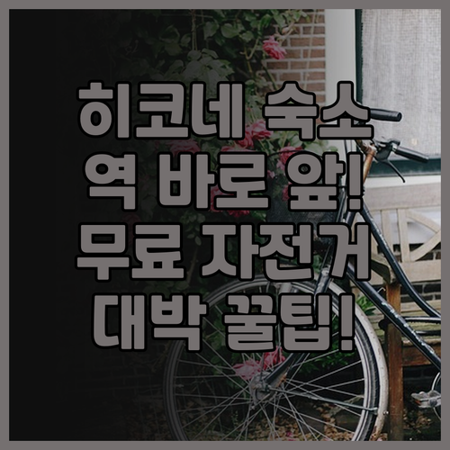 호텔 선루트 히코네 후기 히코네역 앞..