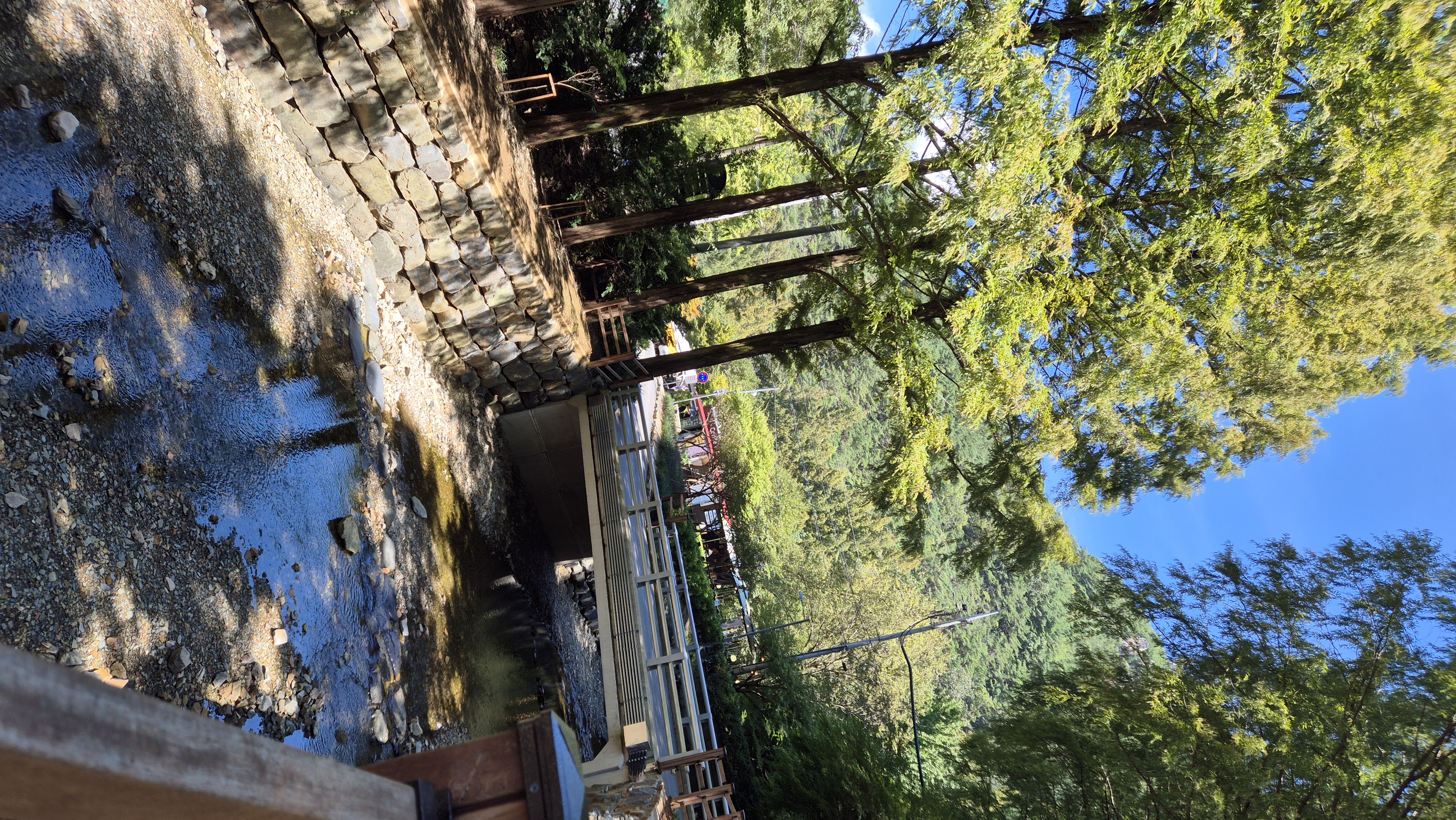 장태산 계곡물? 천변?