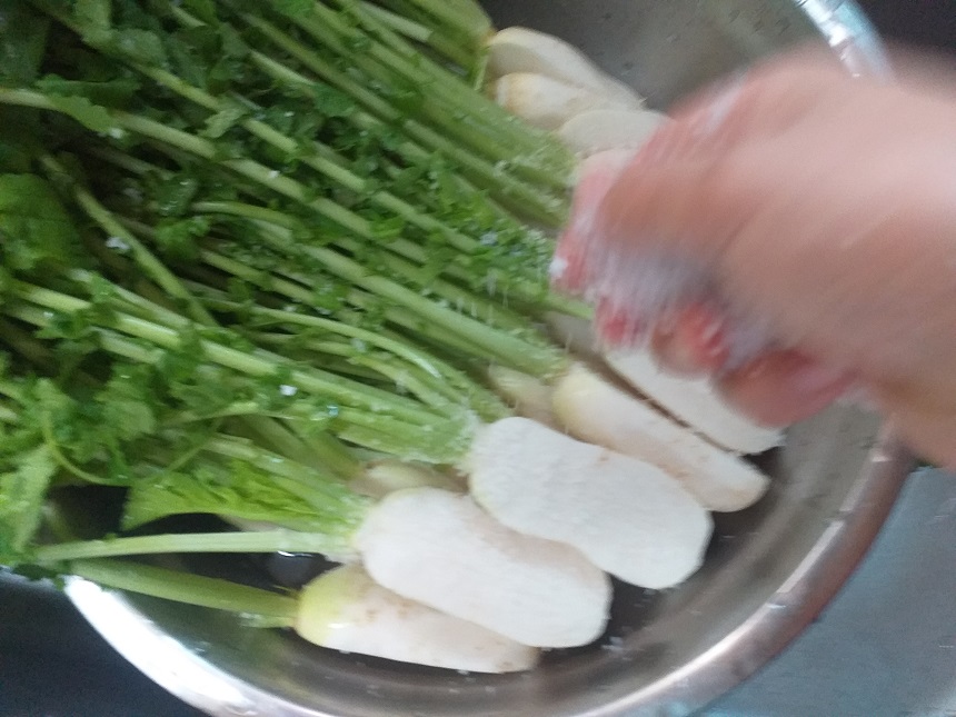 여름알타리김치