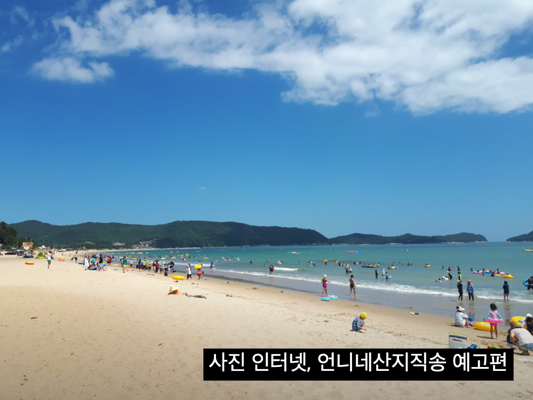 언니네산지직송 완도 영풍마을 촬영지 따라 여행 코스 추천