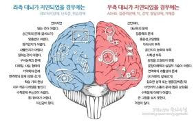 좌뇌,우뇌의 특징