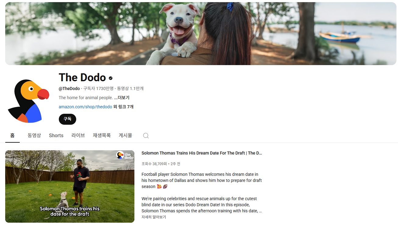 펫튜브