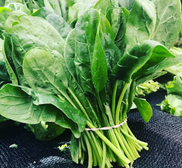 칼슘 하루 권장량 성인 1일 섭취방법