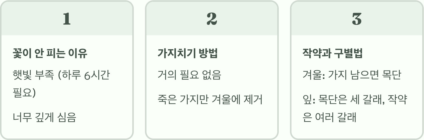 목단꽃, 왜 정원 필수 식물이라 불릴까?