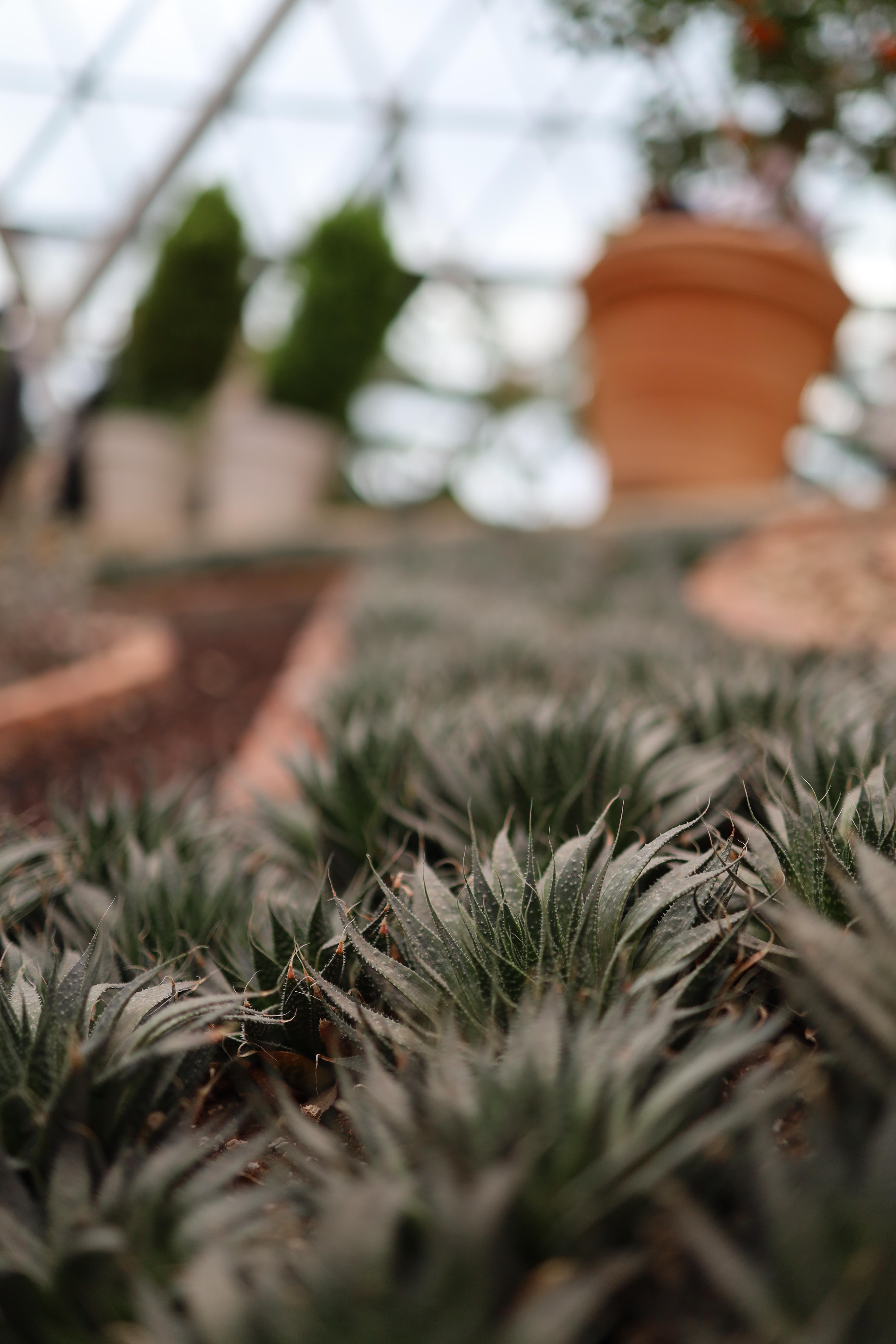 마우스 우클릭, 다른 이름으로 사진 저장 img |무료 이미지 다운로드