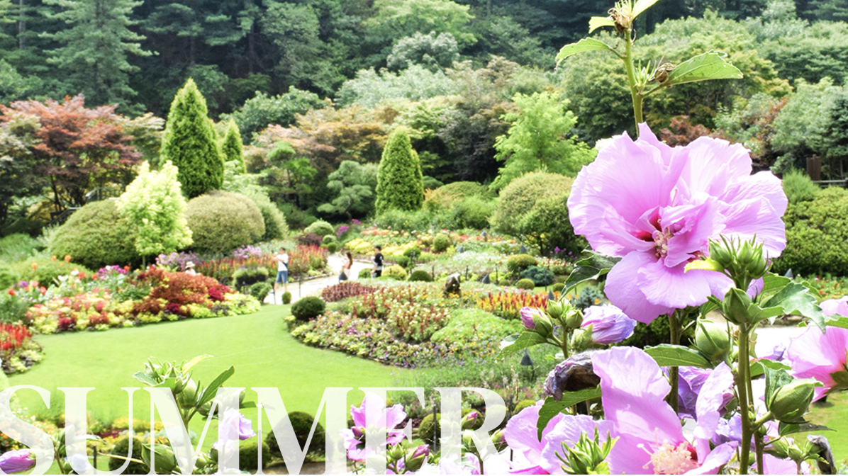 아침고요수목원의 사계절