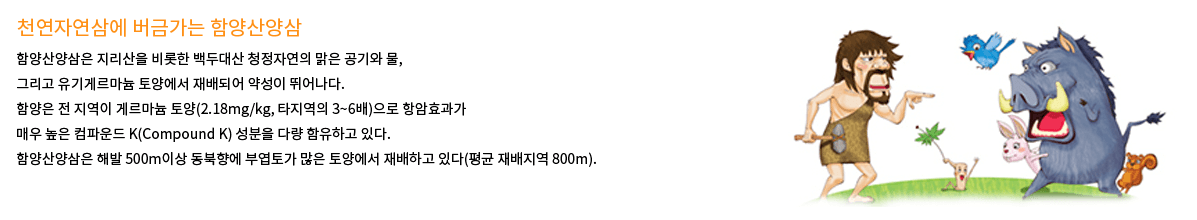 정보6