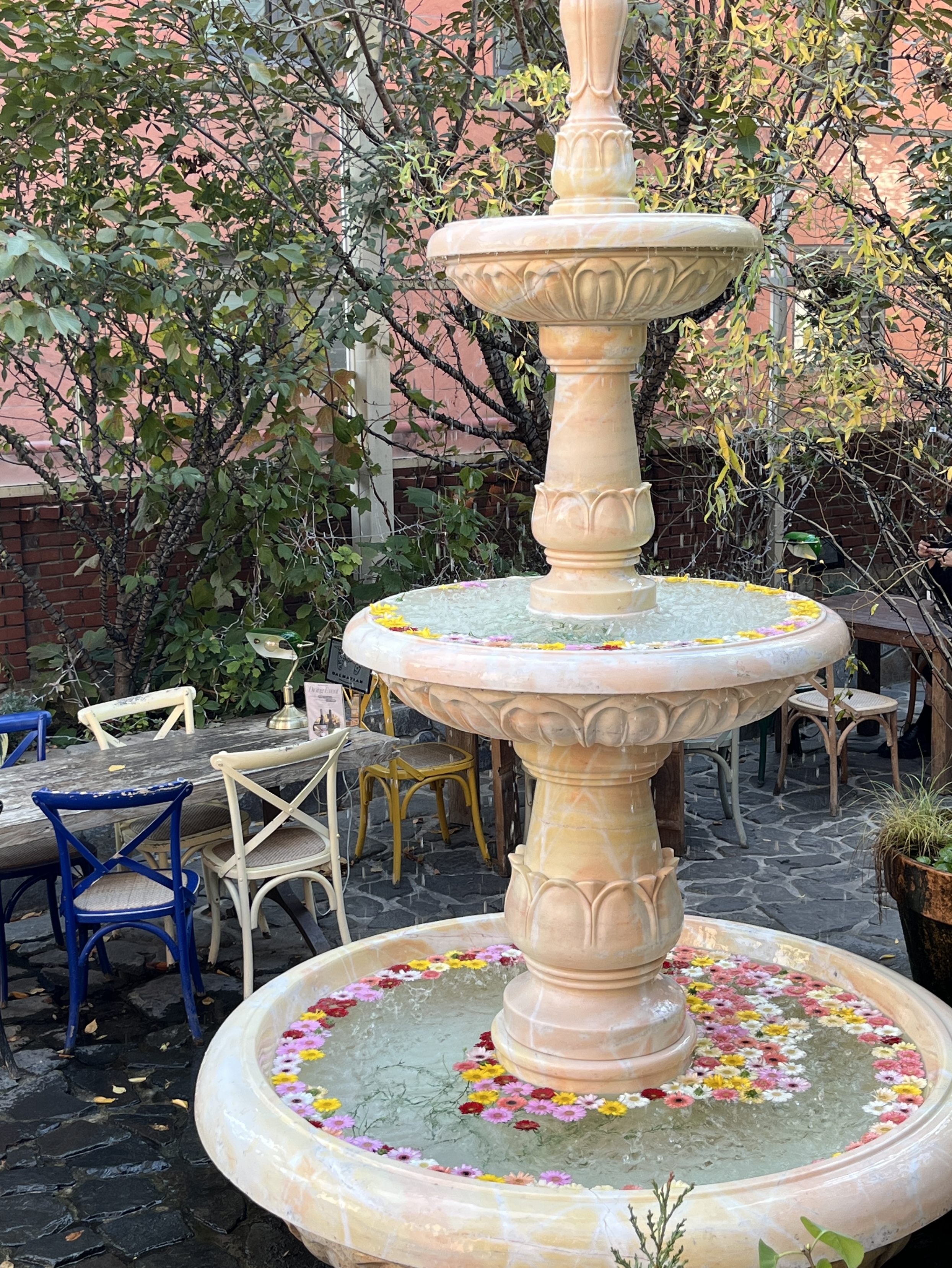 달마시안 압구정점