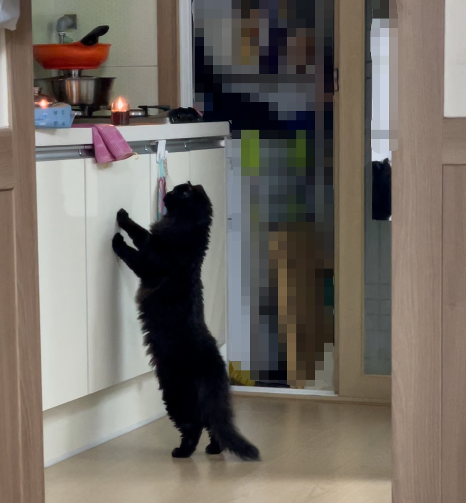 셀커크렉스3