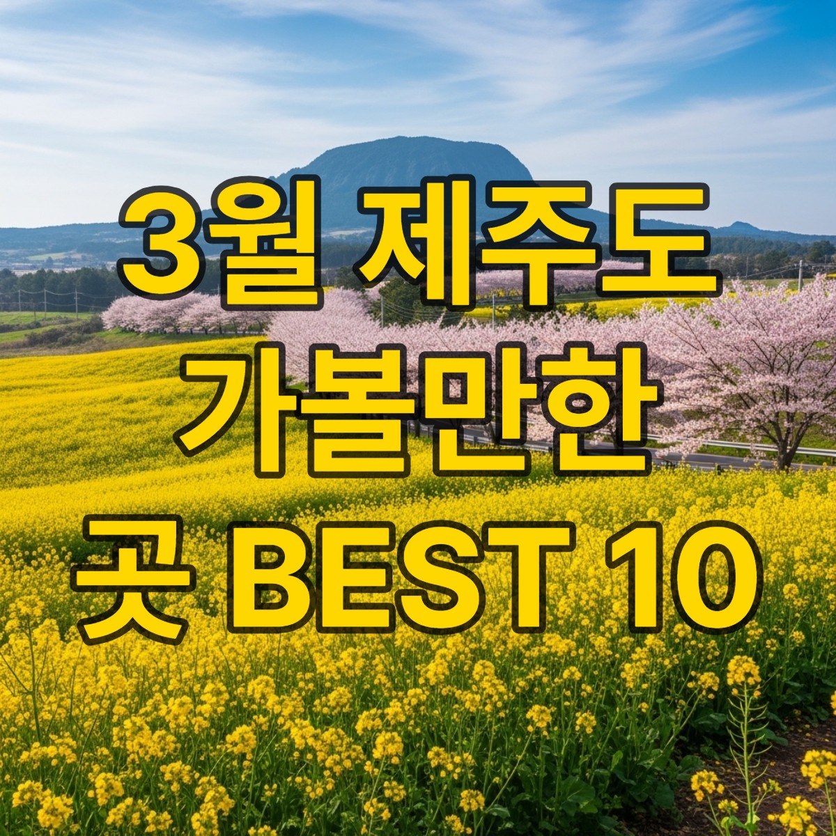 3월 제주도 가볼만한곳 10곳