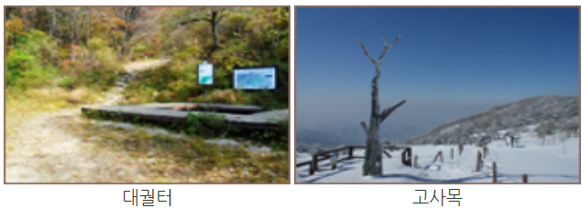 소백산 등산코스