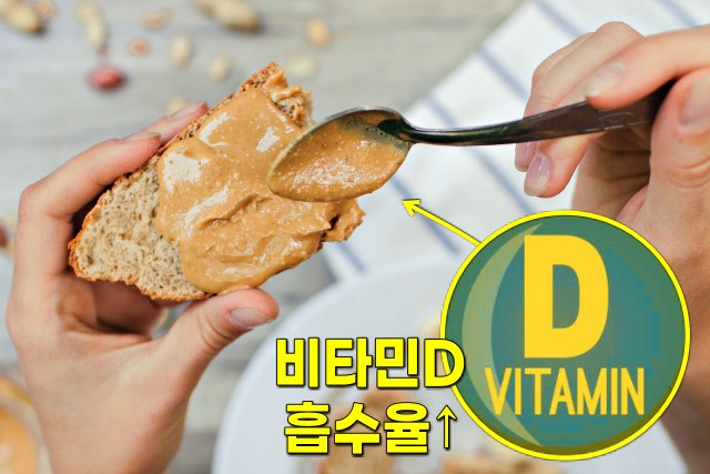 비타민d 영양제 먹는 시간 복용시간, 팁줌