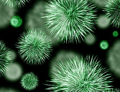 실내마스크전면해제