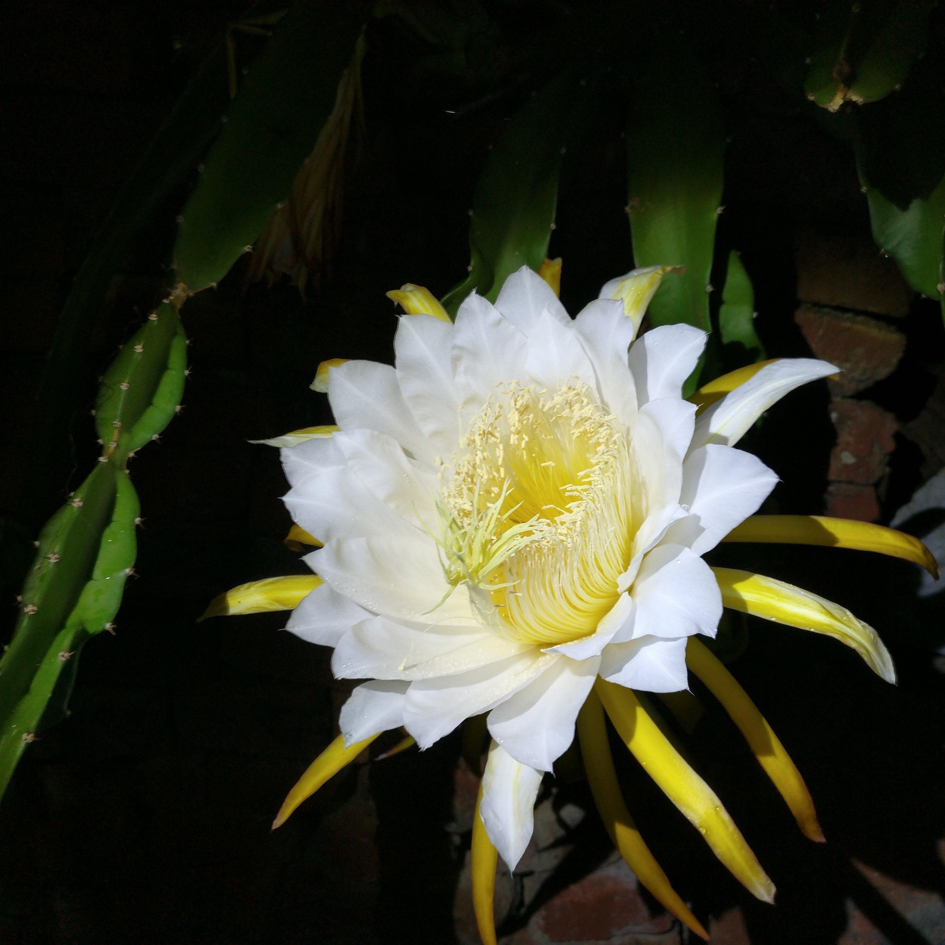 오래 앉아 있으면 치질이 생기는 이유
