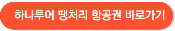 하나투어 공동구매 항공권