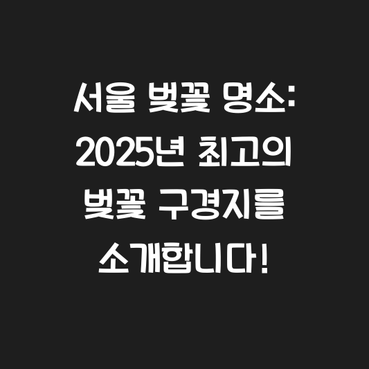서울 벚꽃 명소: 2025년 최고의 벚꽃 구경지를 소개합니다! 대표 이미지