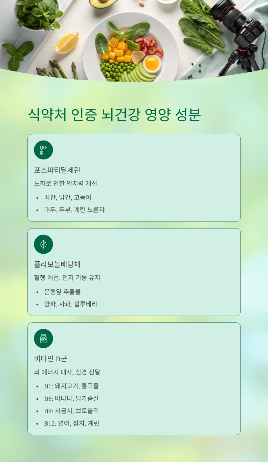 식약처 인증 뇌 건강 영양 성분 포스파티딜세린과 비타민 B군