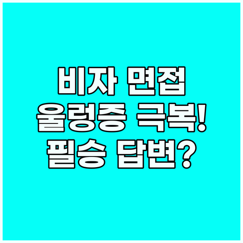 비자 인터뷰 영어 울렁증 극복 면접관..