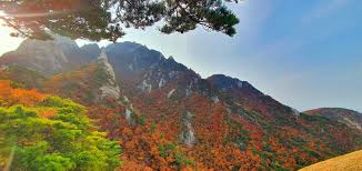북한산 단풍 명소 베스트코스