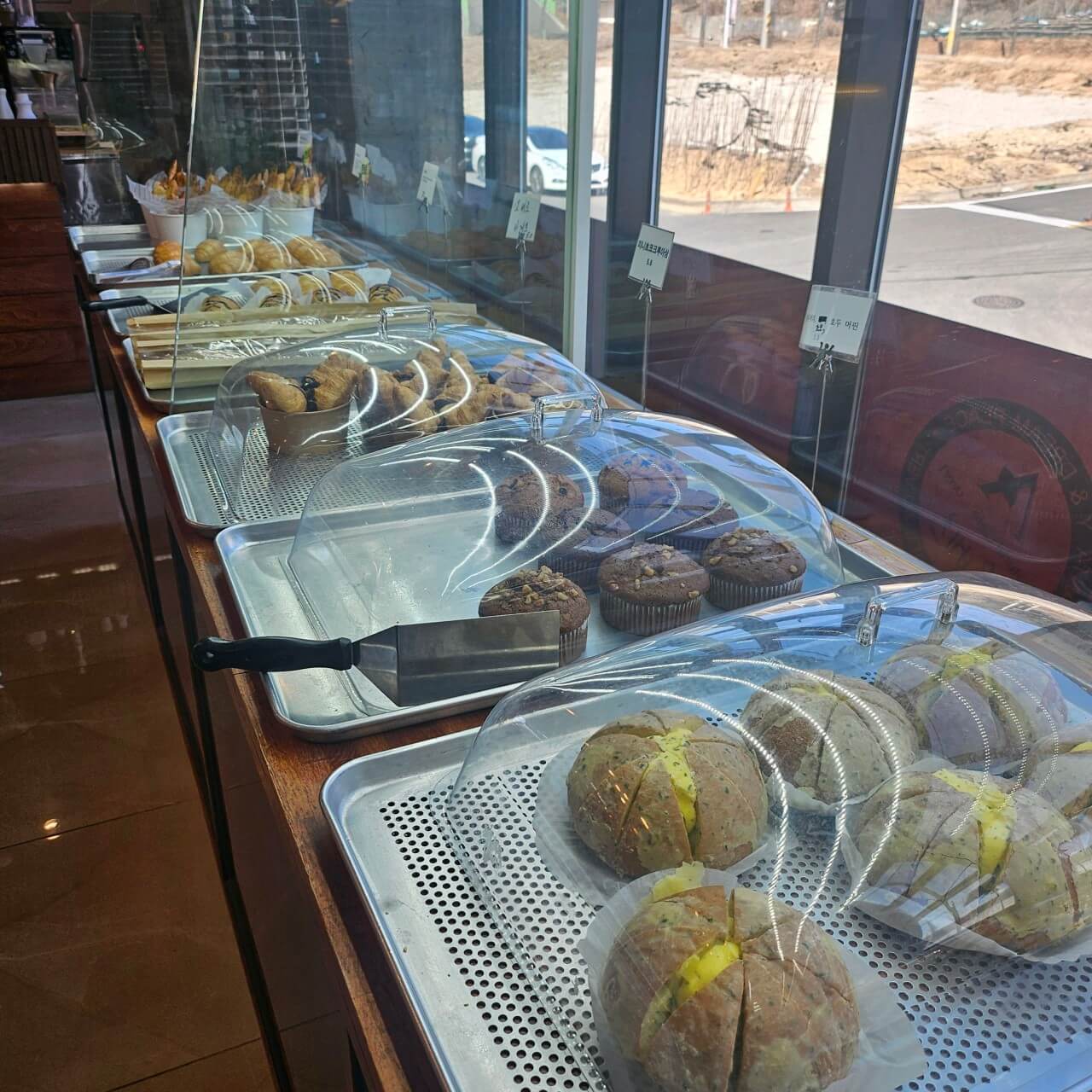 오늘N 커피 한잔할래요? 경북 경주시 식물원 분위기 카페 오베르 경주여행 갈만한 곳 오늘N 2501회