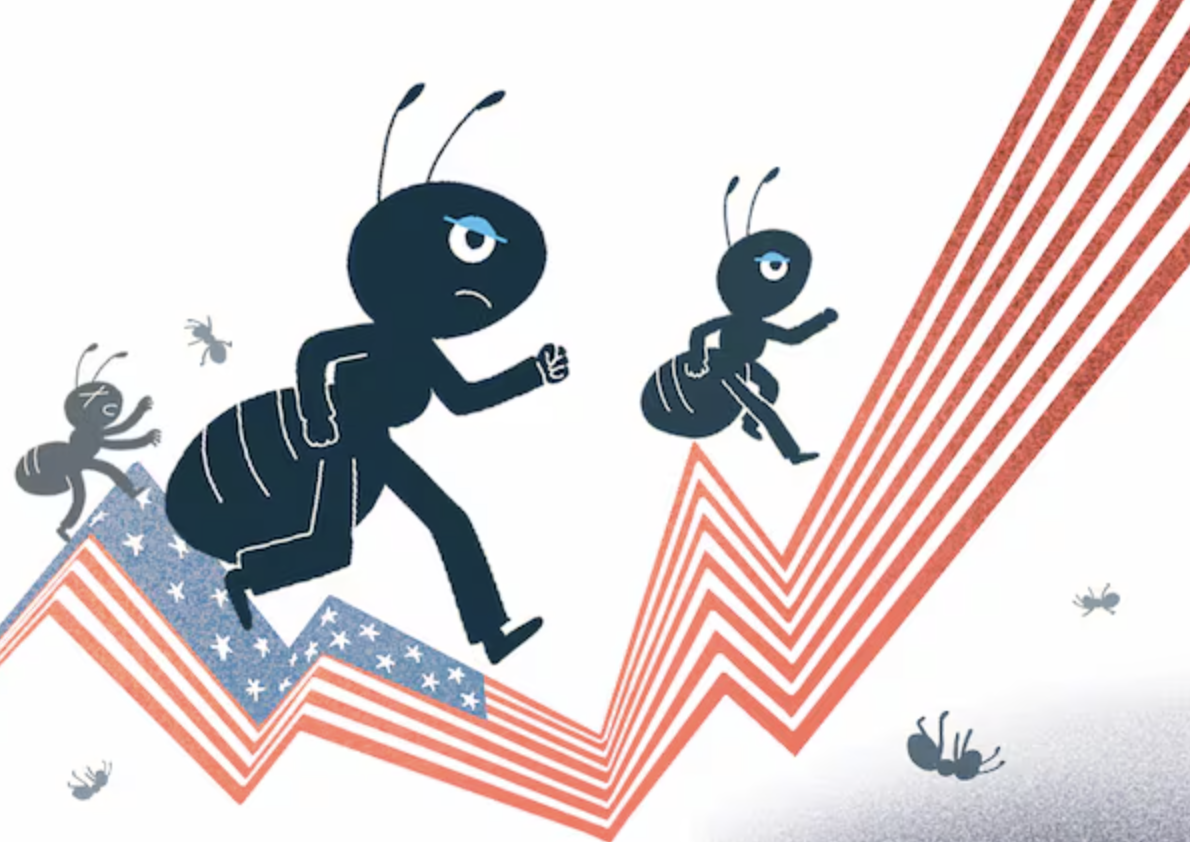 서학 개미 상징 이미지