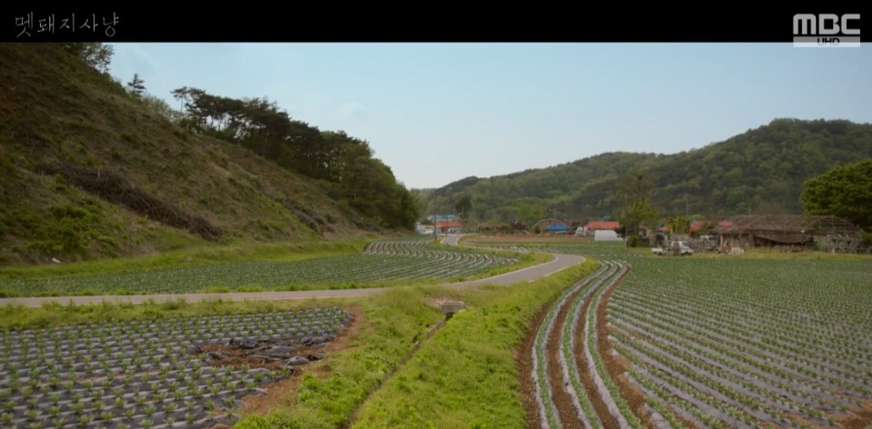 [드라마추천] 결말이 궁금한 멧돼지 사냥 줄거리, 촬영지