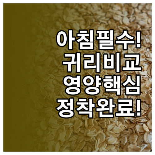 든든한 아침을 위한 귀리 오트밀 비교..
