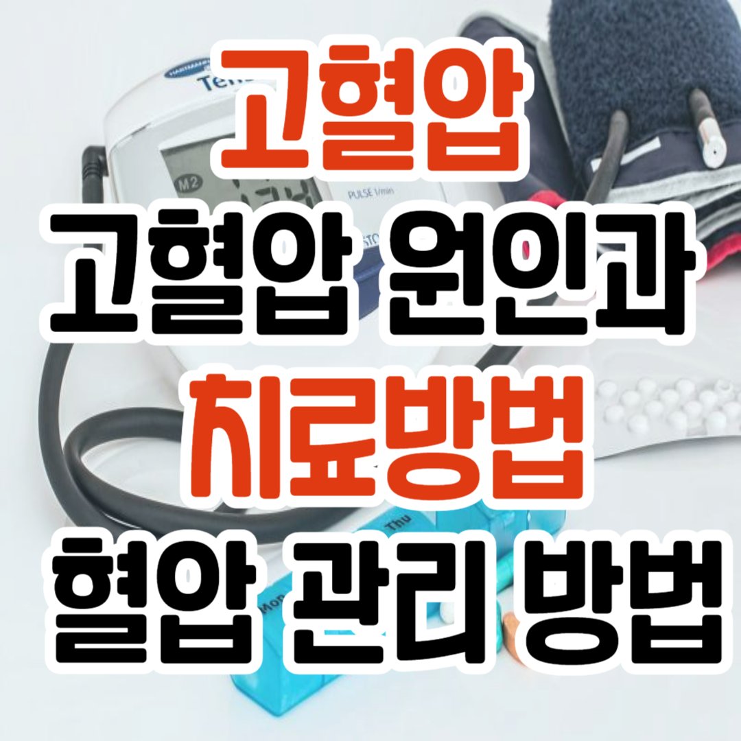 고혈압 원인과 치료법/ 혈압 관리 방법
