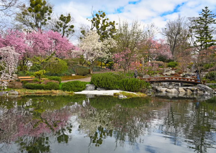 세타가야구 여행 코스 추천! 하루 만에 완벽하게 즐기기