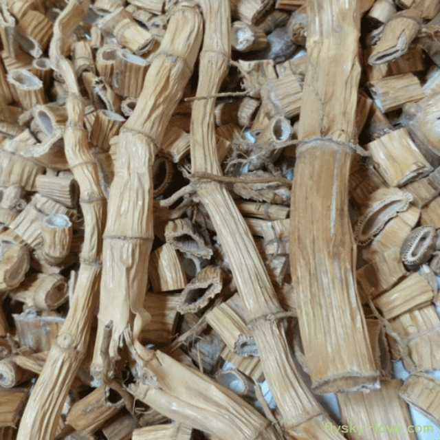 갈증해소에 효과적인 갈대뿌리 노근