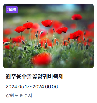원주용수골꽃양귀비축제