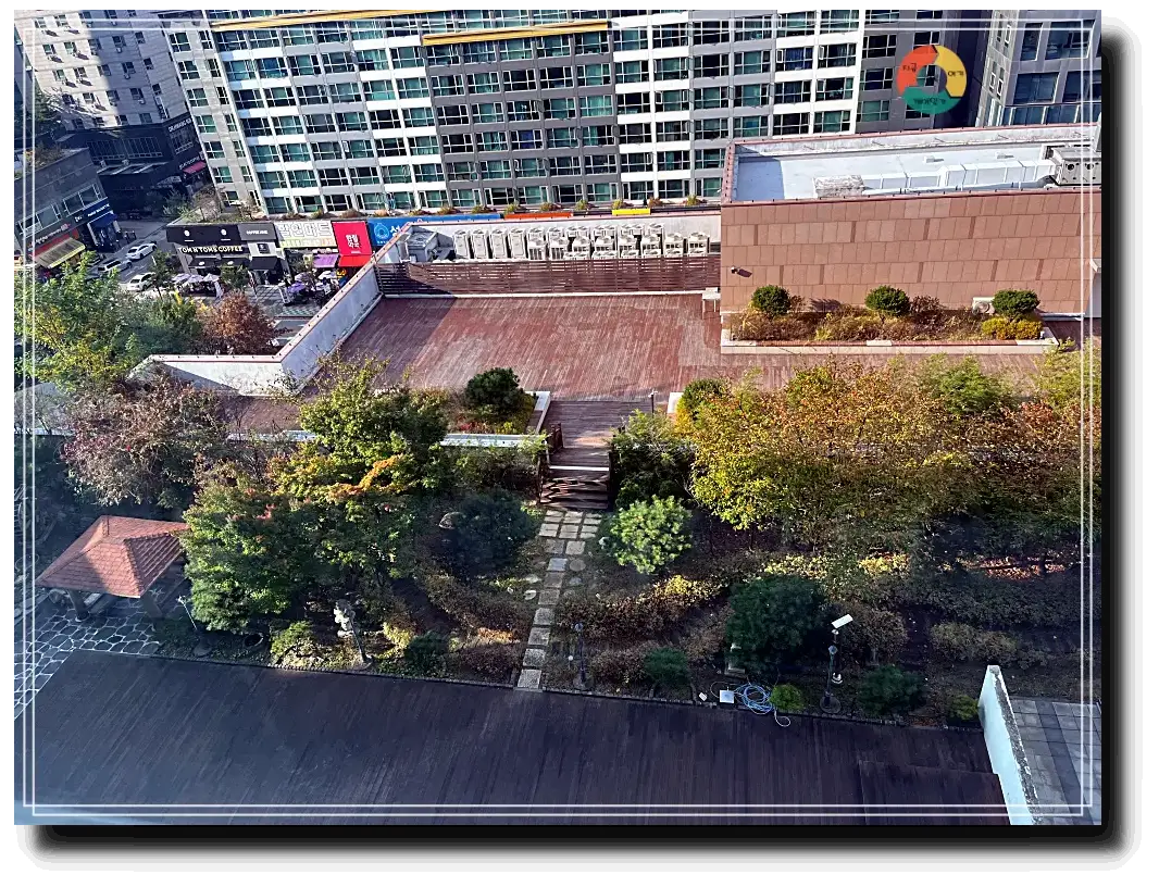 1인 병실_창밖풍경--나무-산책로