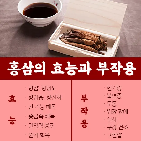 홍삼 효능