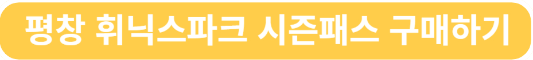 평창 휘닉스파크 시즌패스 구매하기