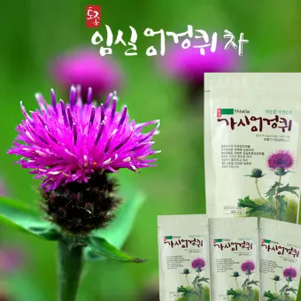 엉겅퀴 먹는법 엉겅퀴 차 마시는 법_25
