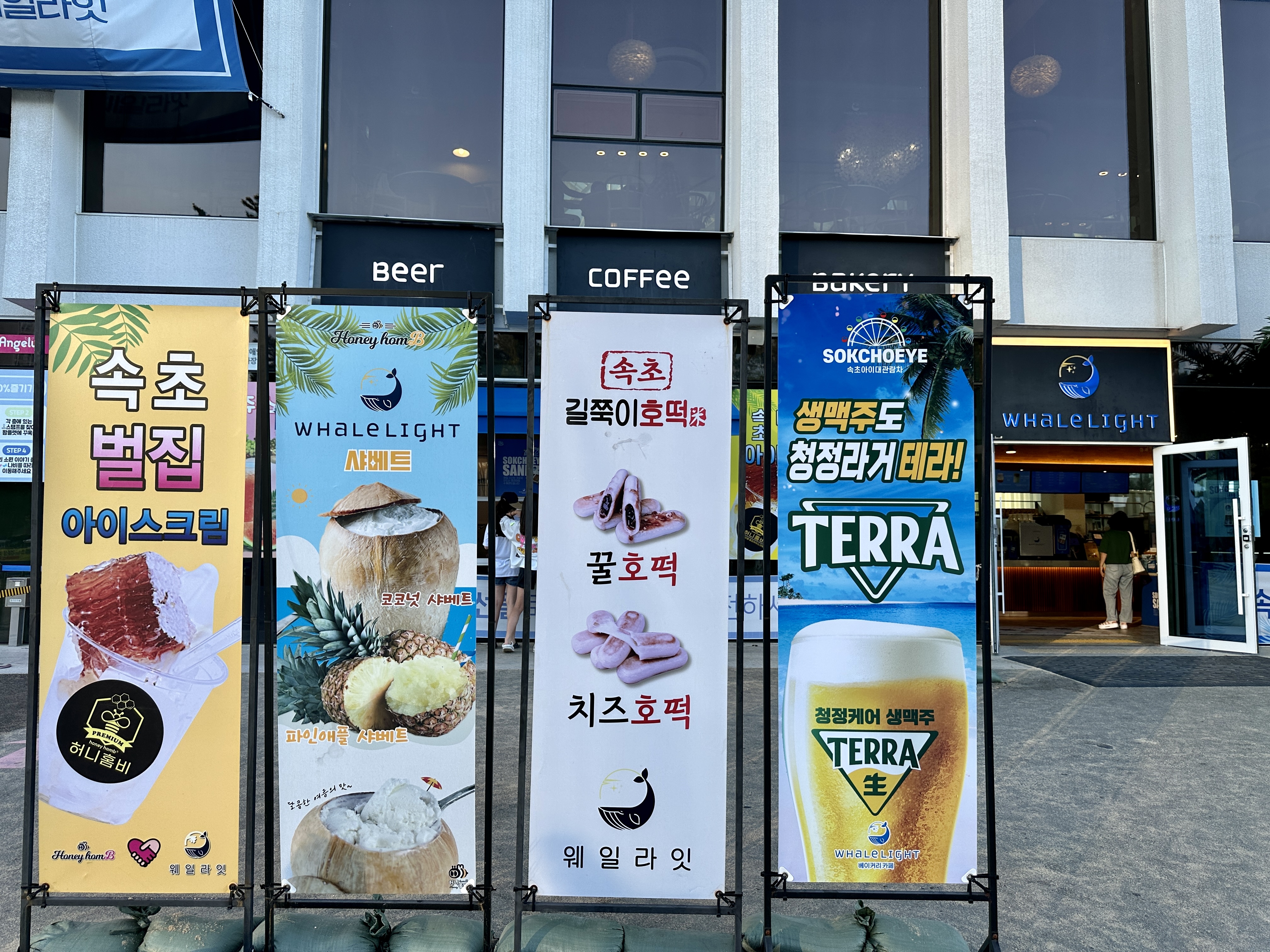 속초 해수욕장 웨일라잇