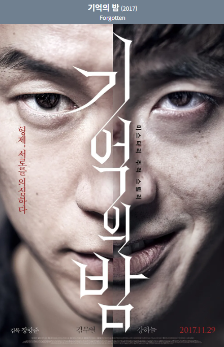 기억의 밤 포스터