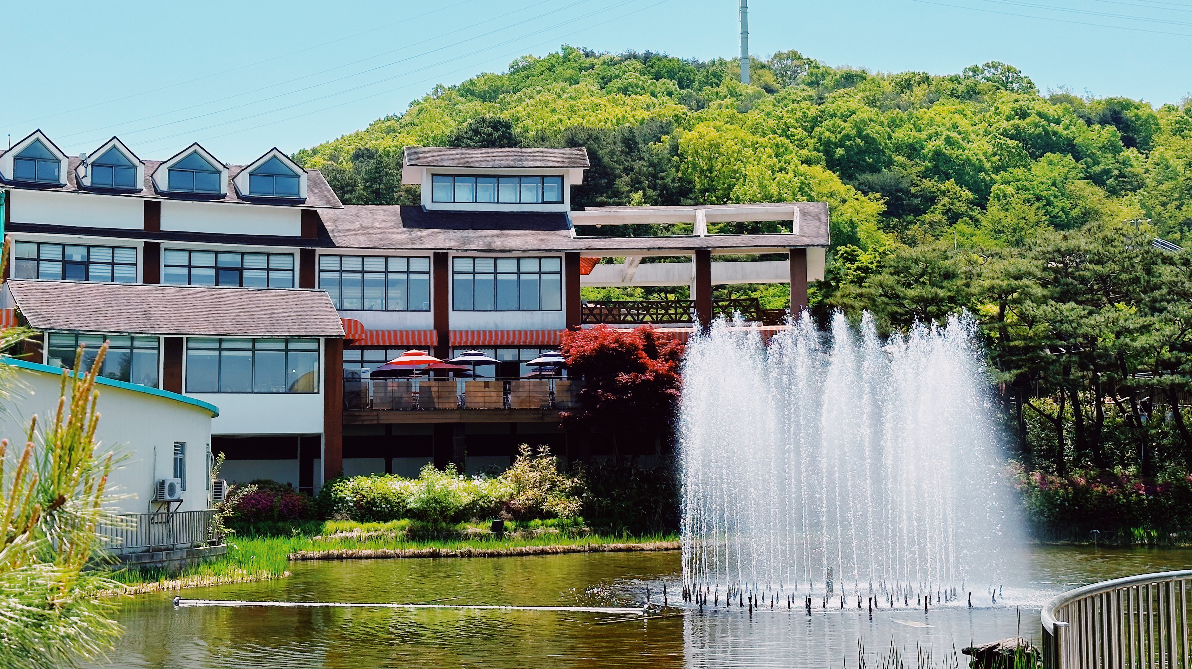 대전 오월드 분수