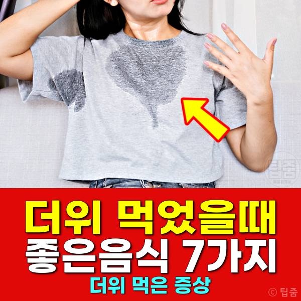 더위 먹었을때 좋은 음식 더위먹은증상