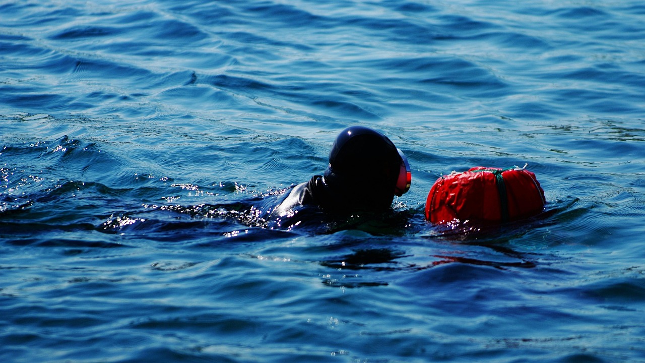 제주 해녀 관련 사진