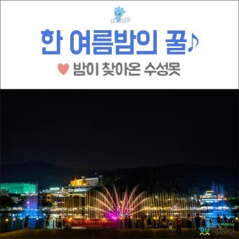 대구 데이트 코스 추천 연인과 특별한 하루 보내는 방법_7