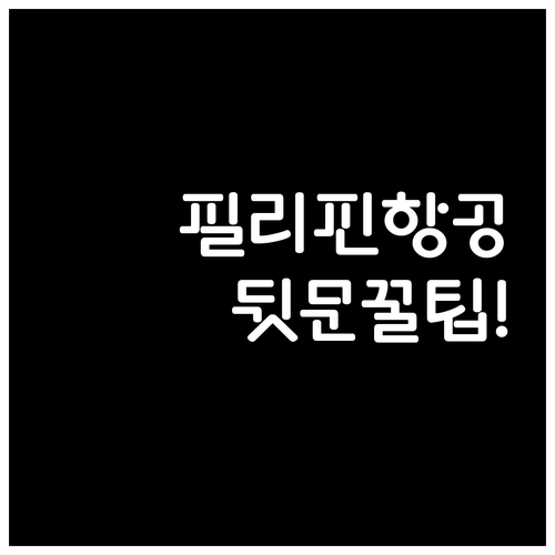 필리핀항공 백드롭 카운터 이용 좋은 ..