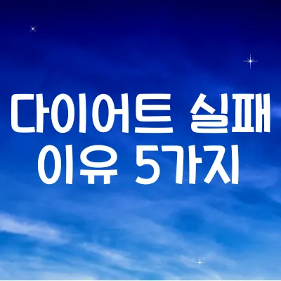 다이어트 실패 이유