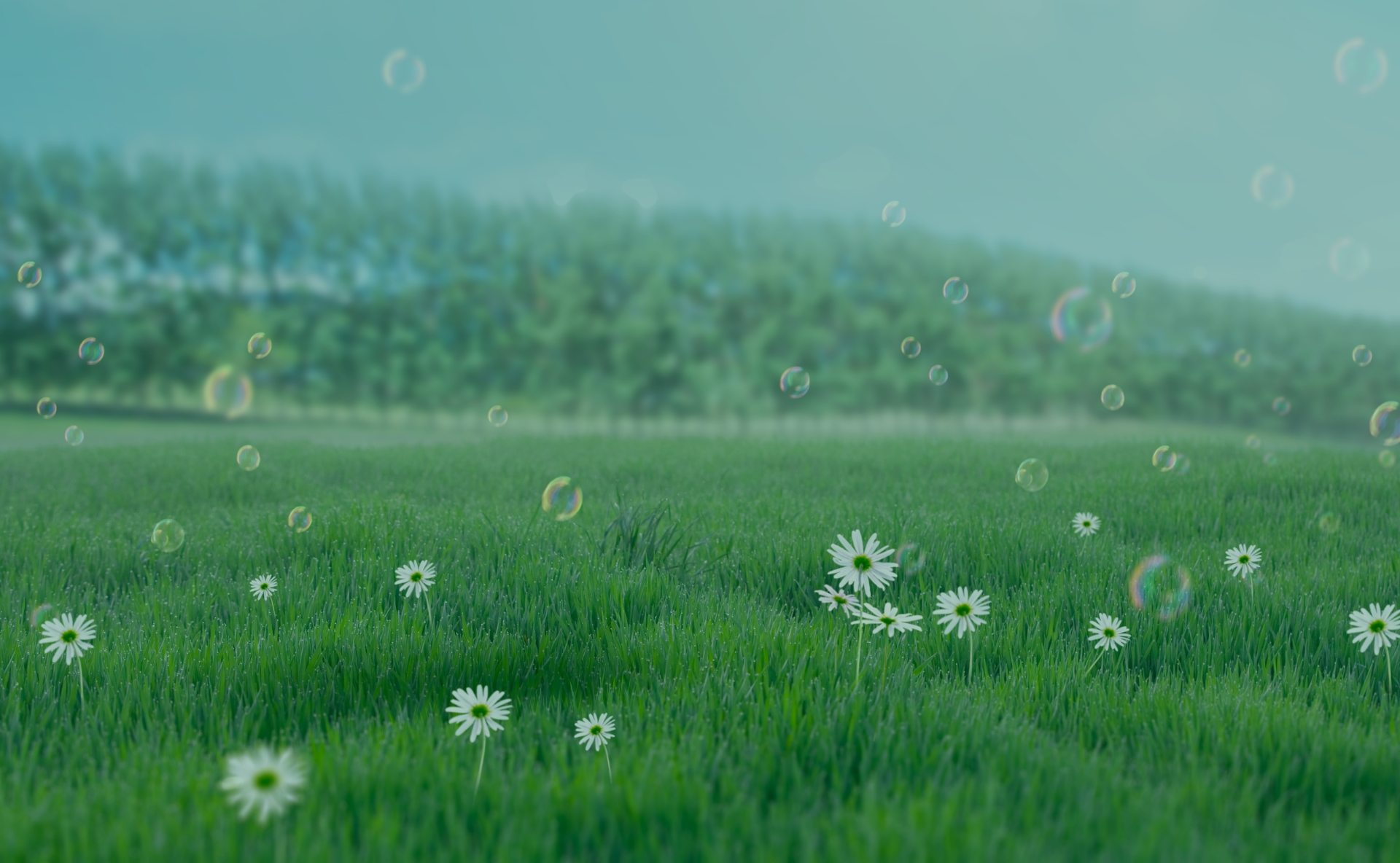 산림복지 바우처