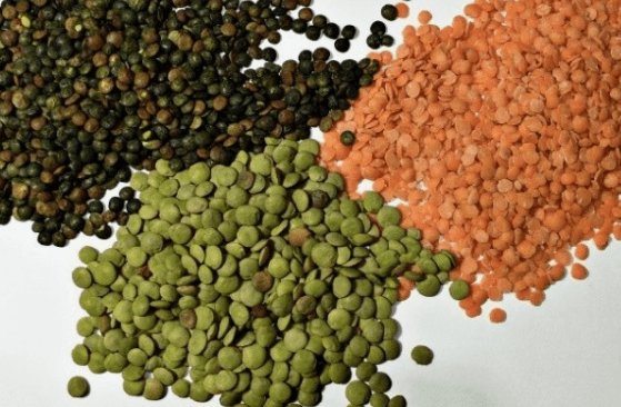 렌틸콩 삶기(삶는법) 먹는 방법(요리, 밥) 효능 및 종류