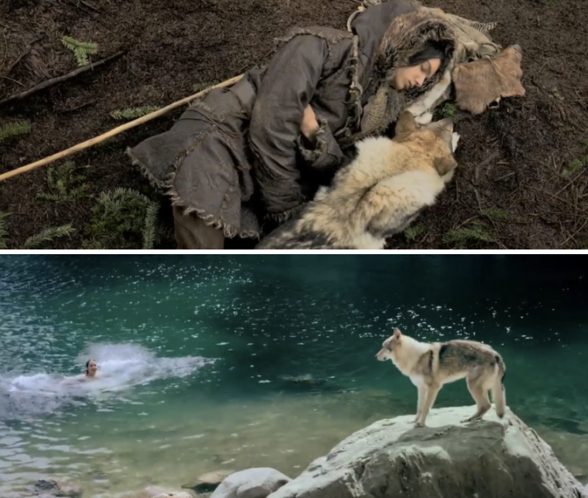 영화 알파 이미지