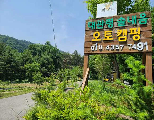 대관령솔내음오토캠핑장