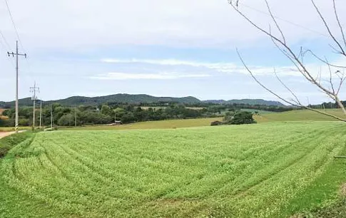 보리나라 학원농장