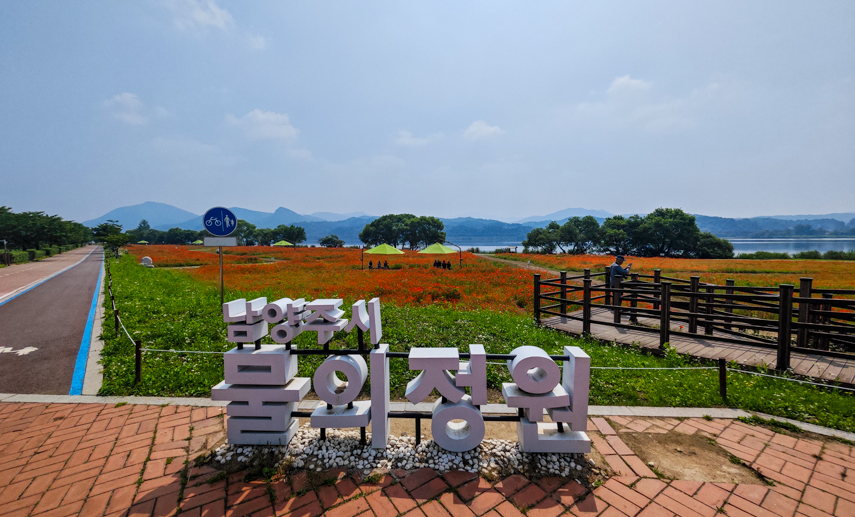 물의 정원 조형물과 양귀비꽃밭 사진